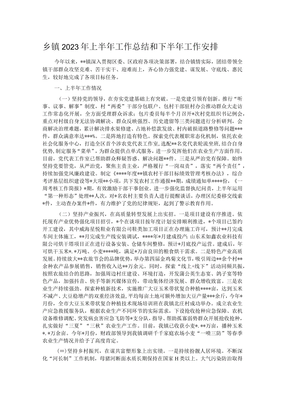 乡镇2023年上半年工作总结和下半年工作安排.docx_第1页