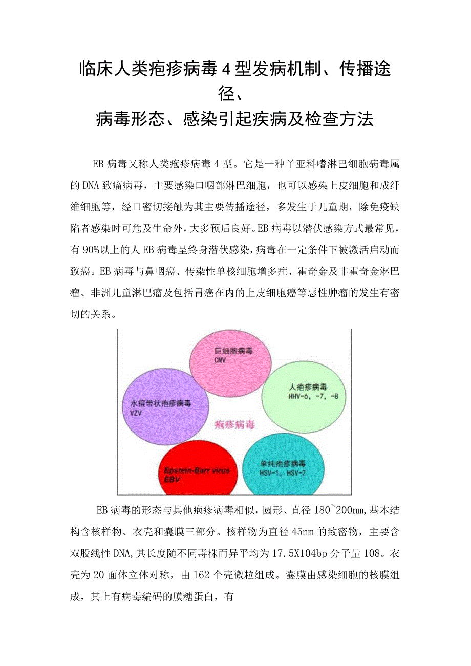 临床人类疱疹病毒4型发病机制传播途径病毒形态感染引起疾病及检查方法.docx_第1页