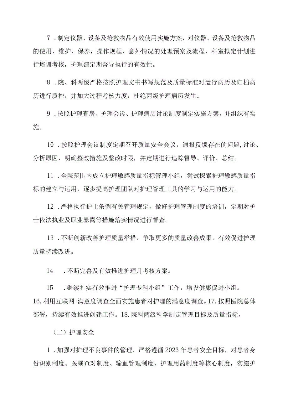 2023年护理部工作计划范文文档.docx_第2页