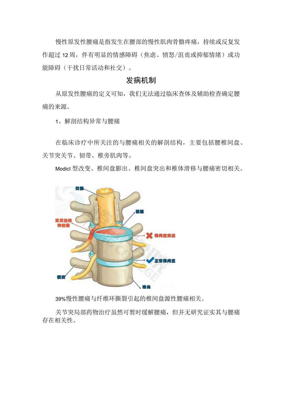 临床慢性原发性腰痛疾病病理发病机制危险因素危险因素诊断要点治疗预后及预防措施.docx_第2页