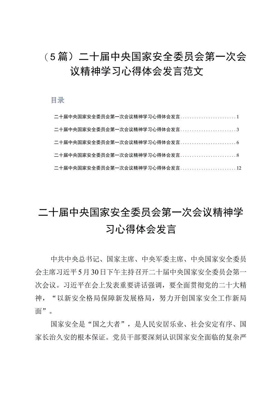 5篇二十届中央国家安全委员会第一次会议精神学习心得体会发言范文.docx_第1页