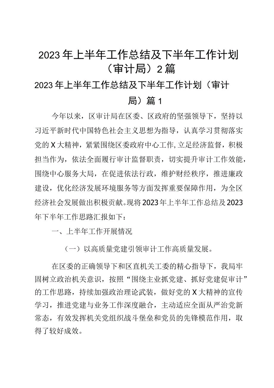 2023年上半年工作总结及下半年工作计划审计局2篇.docx_第1页