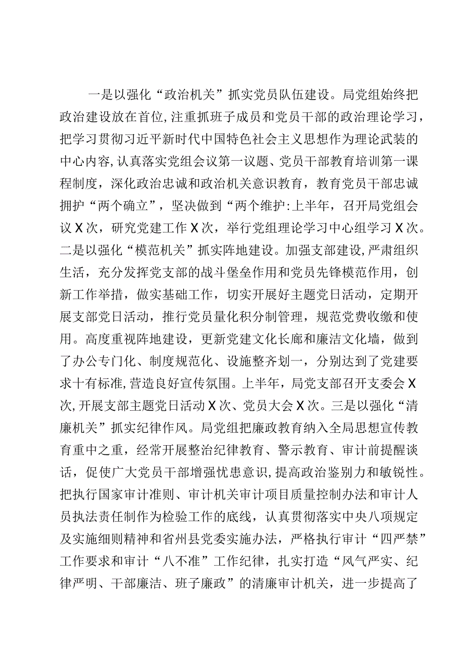 2023年上半年工作总结及下半年工作计划审计局2篇.docx_第2页