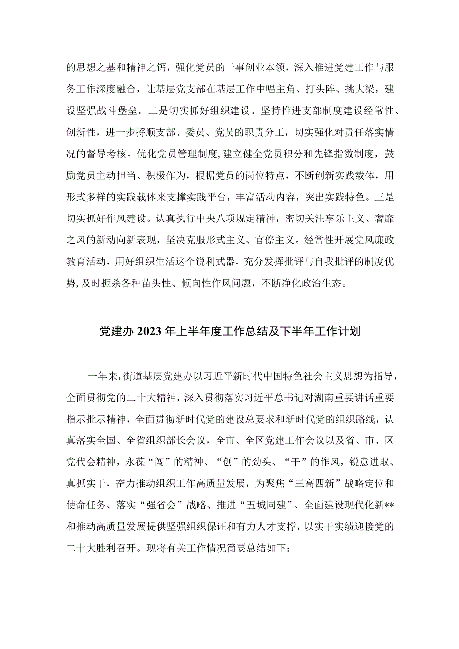 2023年上半年党建工作总结及下半年工作计划精选10篇.docx_第3页