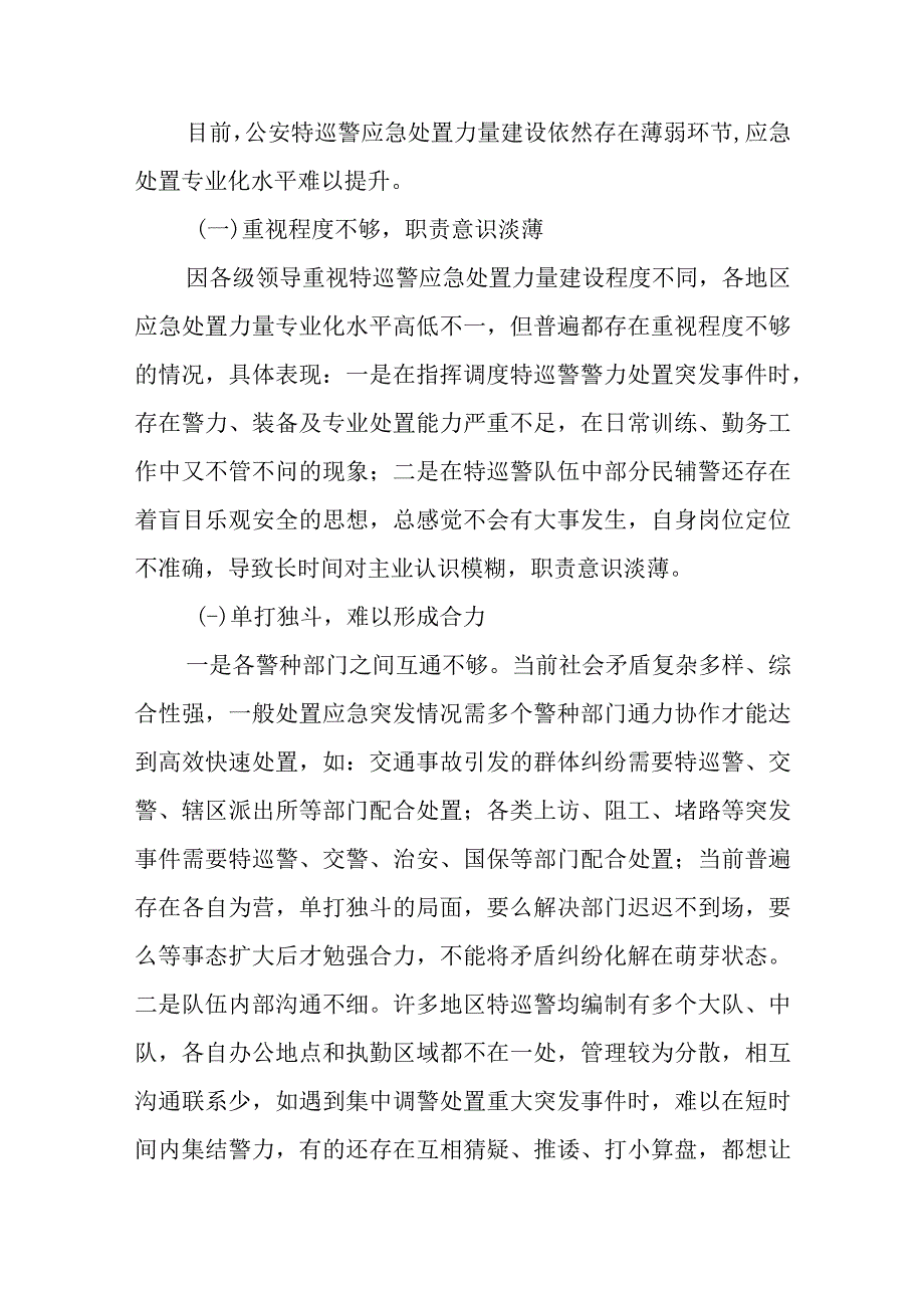 公安特巡警队应急处突能力研究.docx_第2页