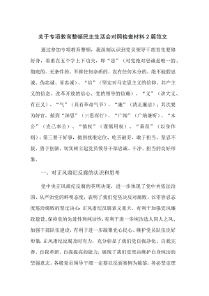 关于专项教育整顿民主生活会对照检查材料2篇范文.docx