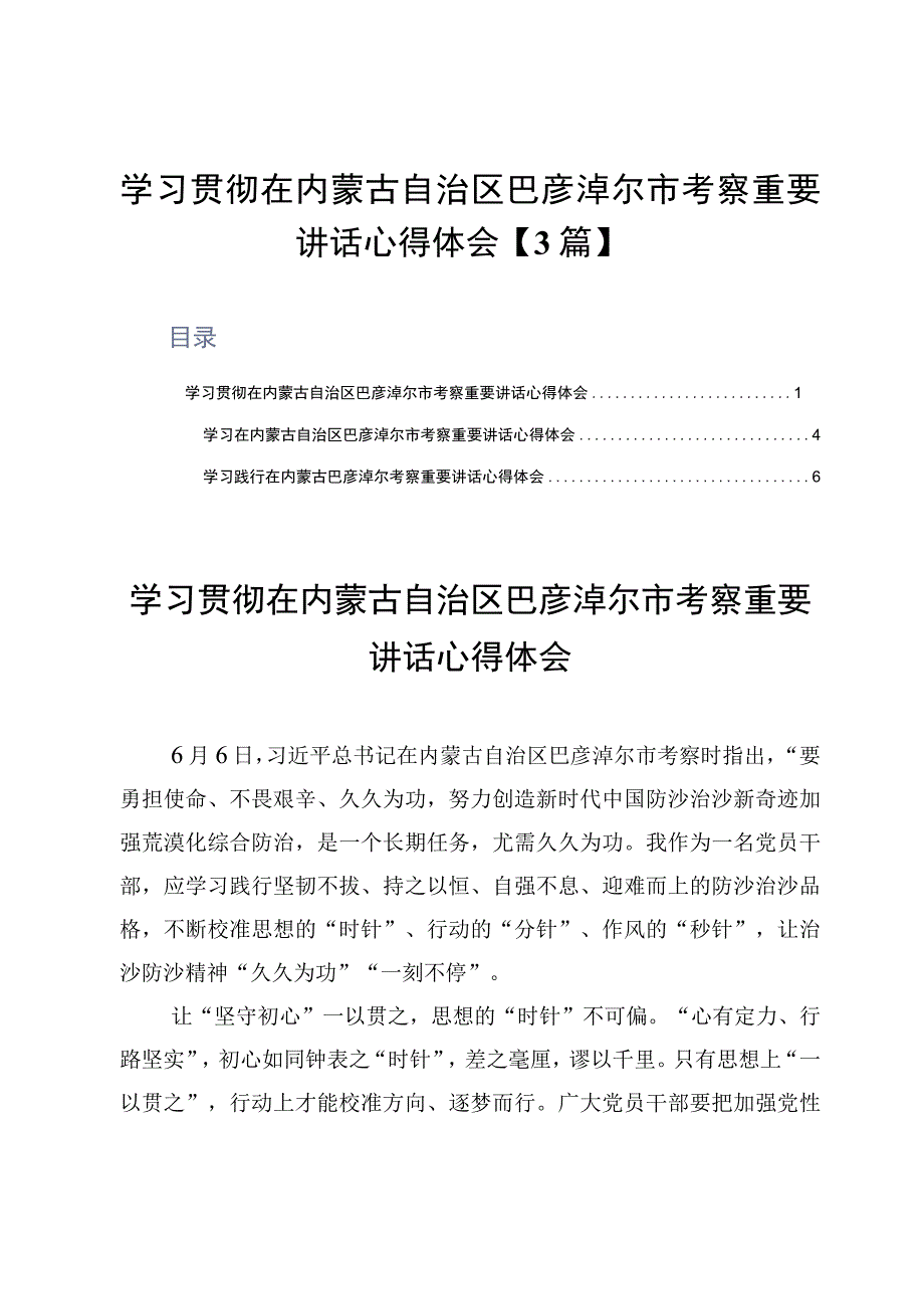 学习贯彻在内蒙古自治区巴彦淖尔市考察重要讲话心得体会3篇.docx_第1页