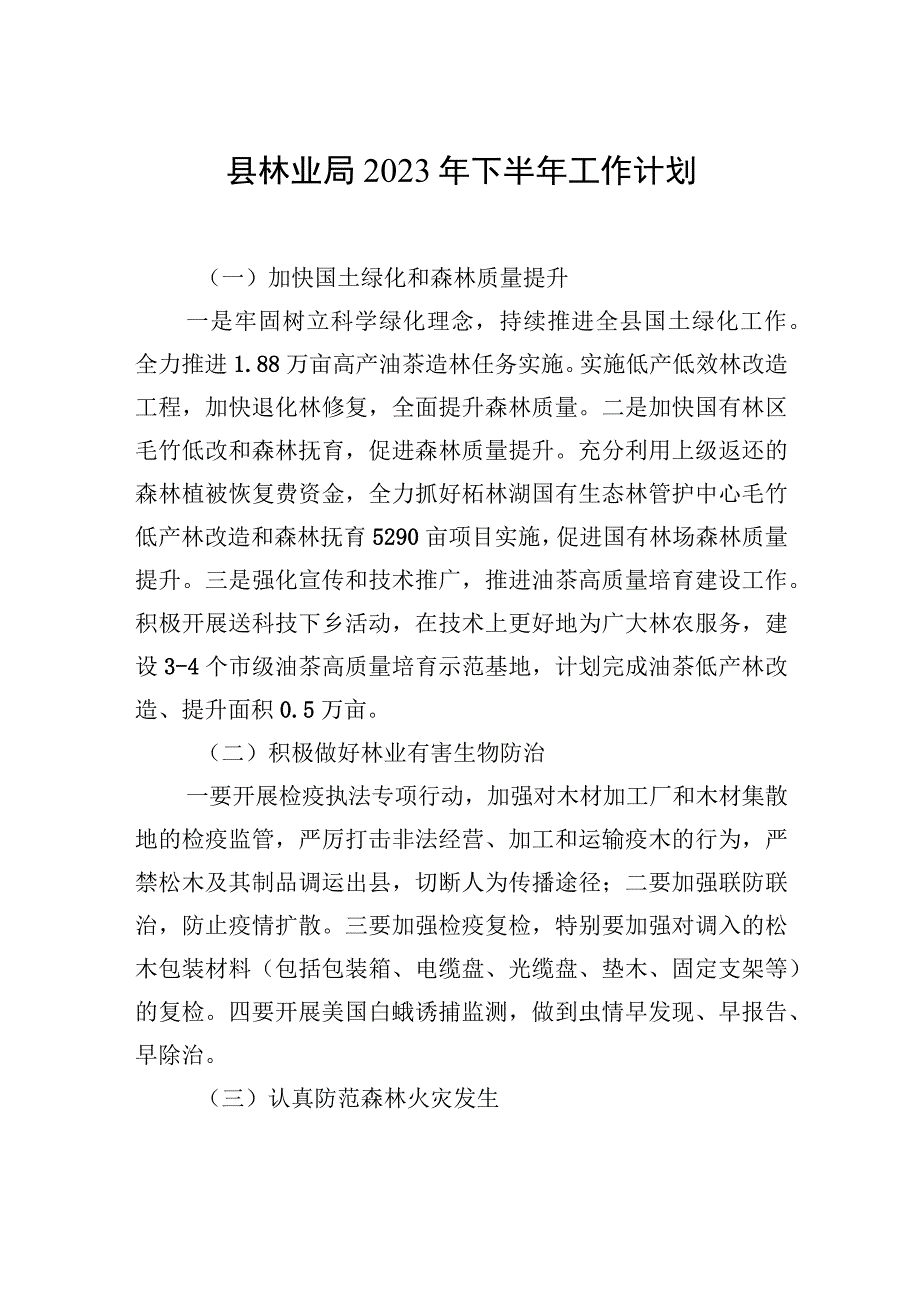 县城市管理局2023年下半年工作计划.docx_第3页