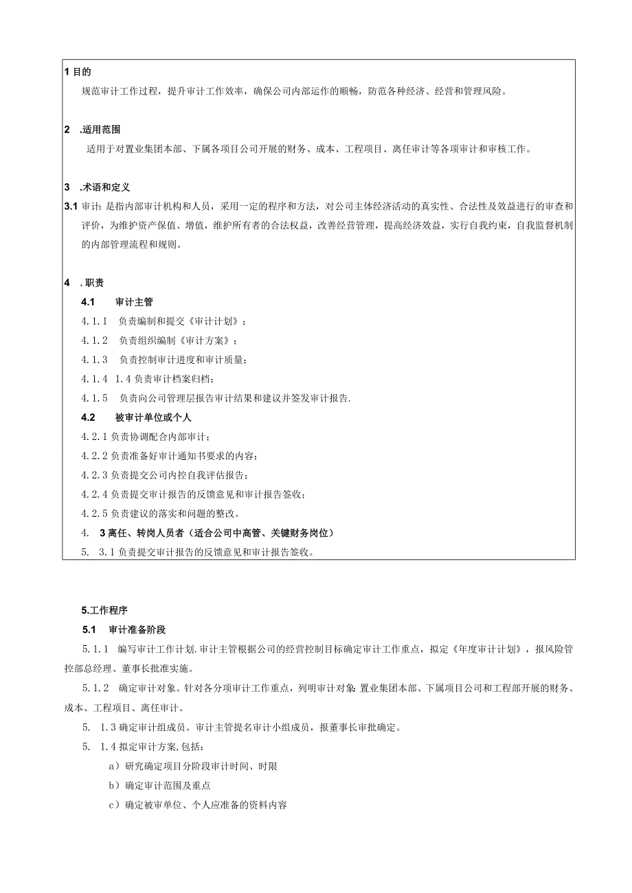 审计管理流程.docx_第3页