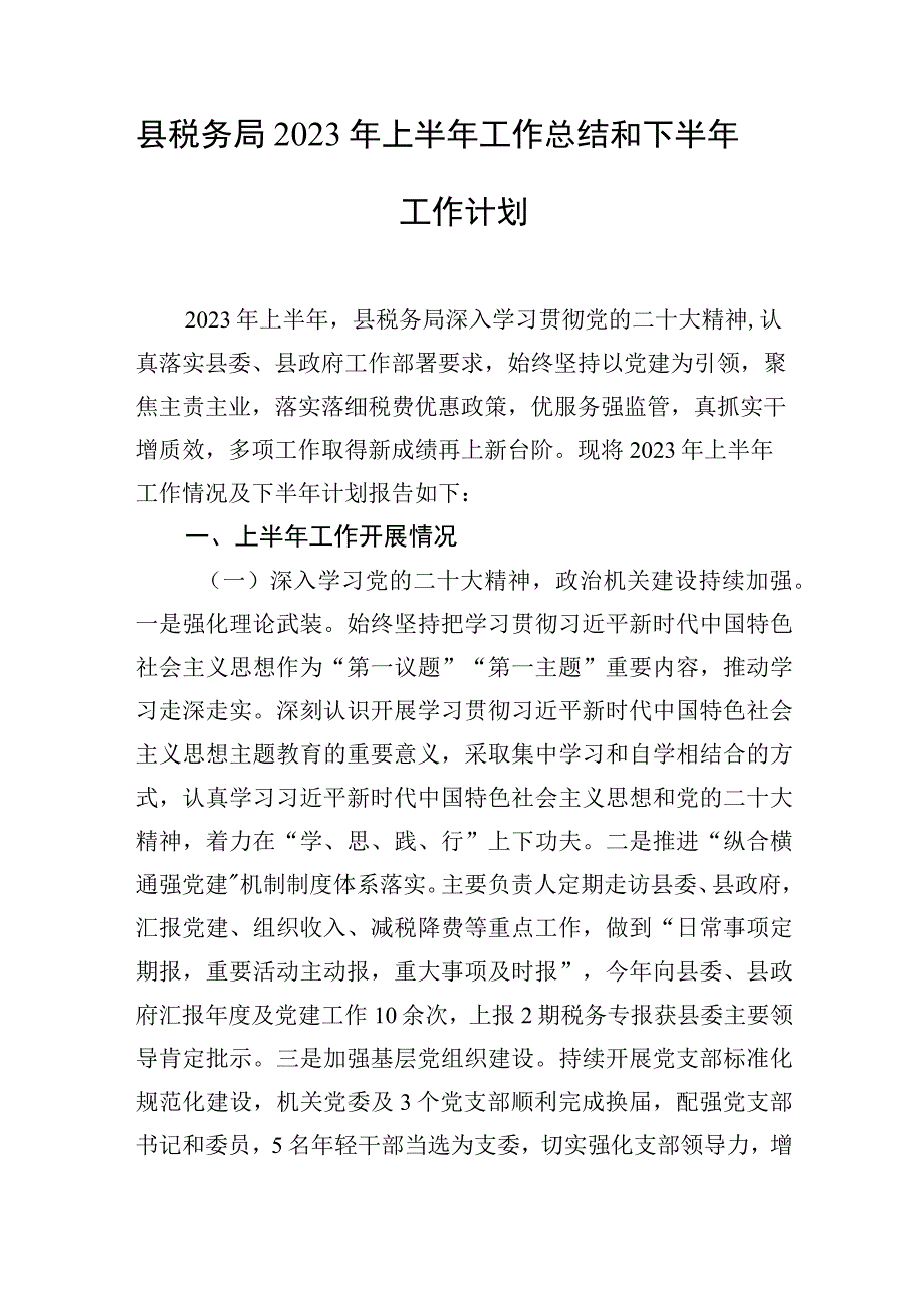 县税务局统计局2023年上半年工作总结和下半年工作计划.docx_第1页