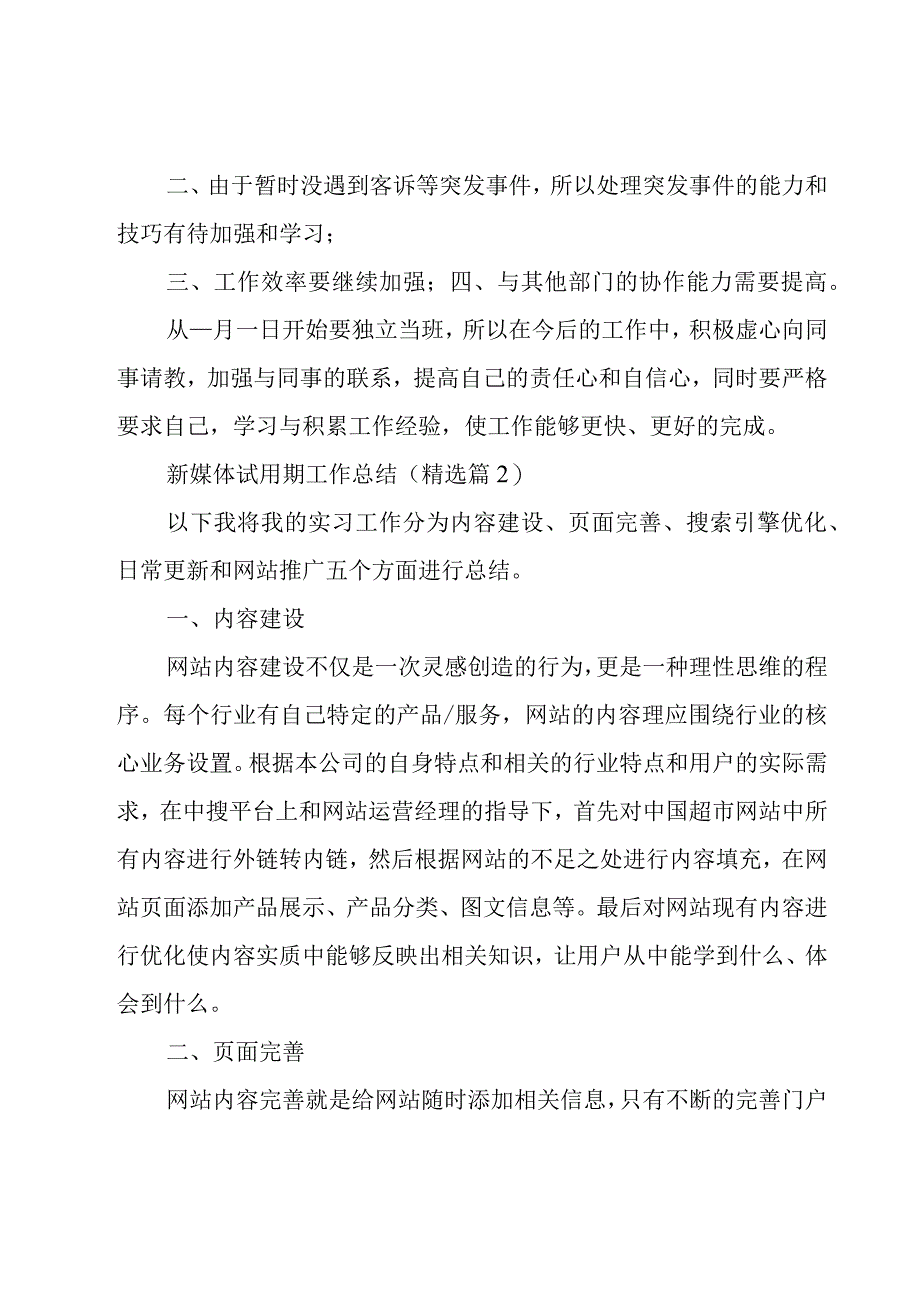 新媒体试用期工作总结模板5篇.docx_第2页