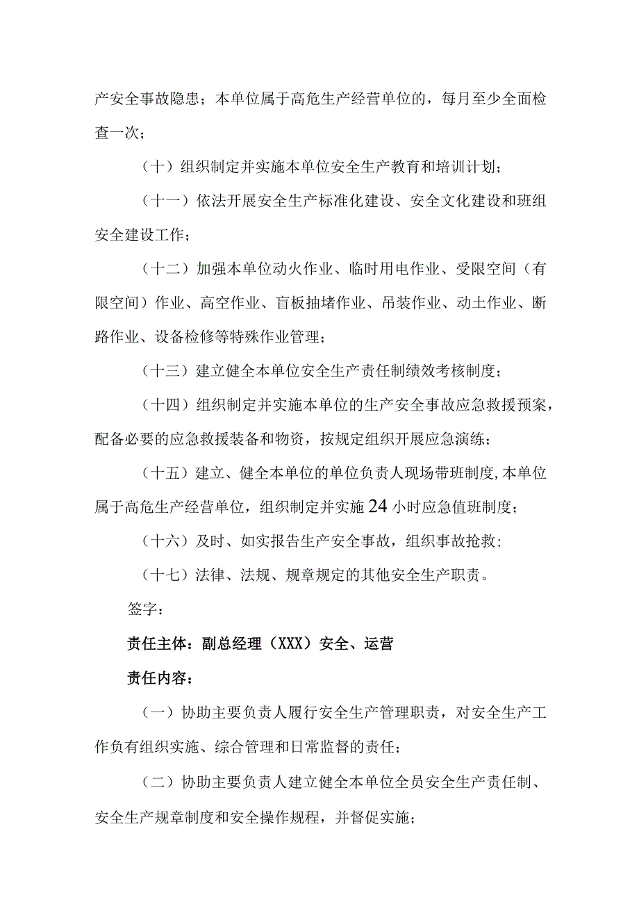 新能源有限公司安全生产主体责任制清单.docx_第2页