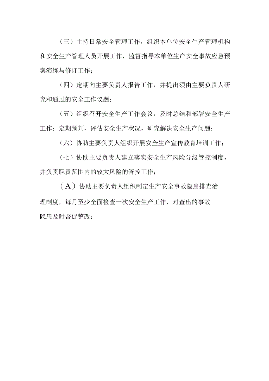 新能源有限公司安全生产主体责任制清单.docx_第3页