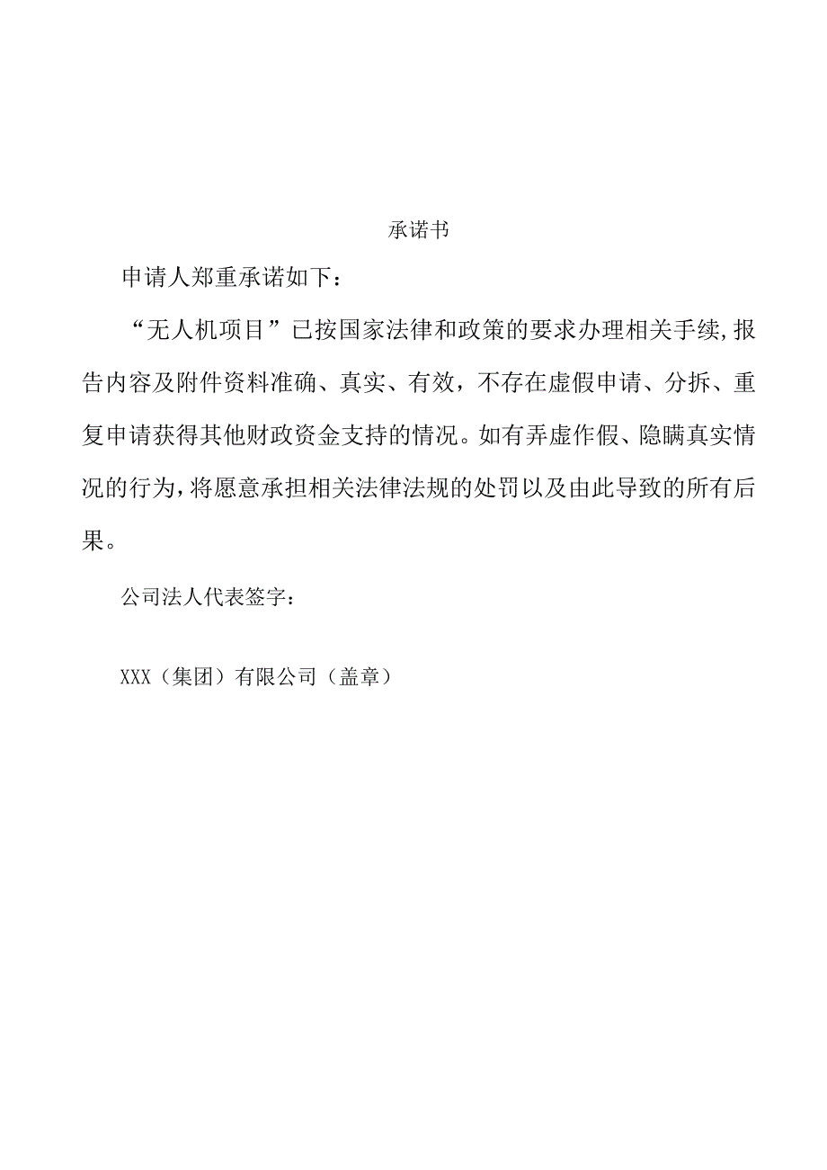 无人机项目可行性分析报告.docx_第2页