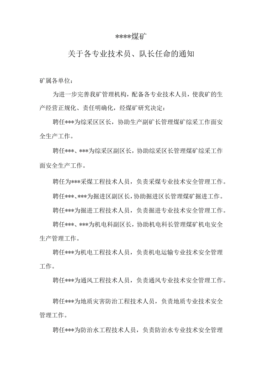 煤矿各技术员队长任命BZH.docx_第1页