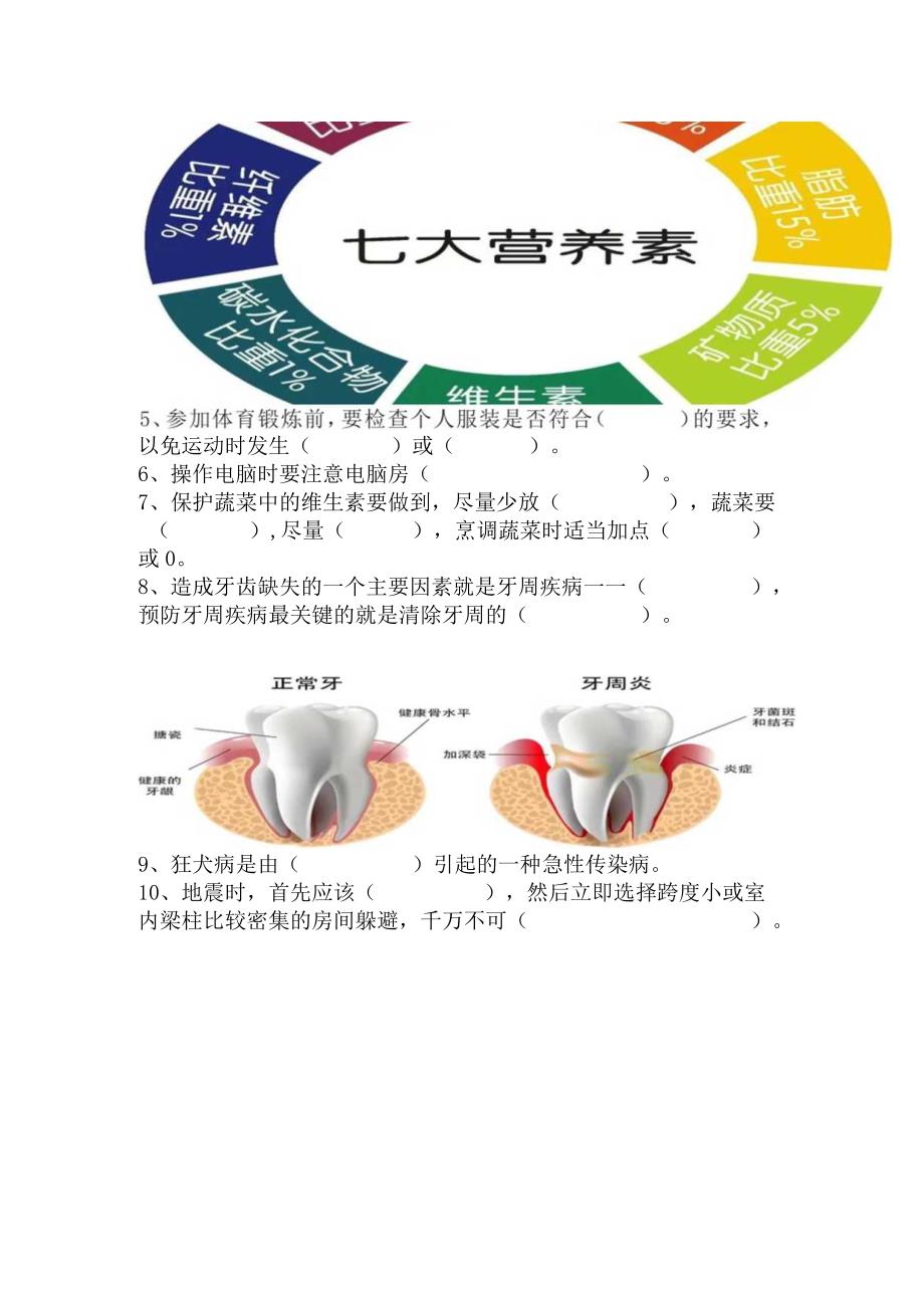 20232023学年五年级上册体育期末测试题含答案.docx_第3页