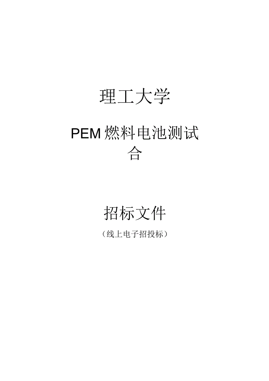 理工大学PEM燃料电池测试台招标文件.docx_第1页