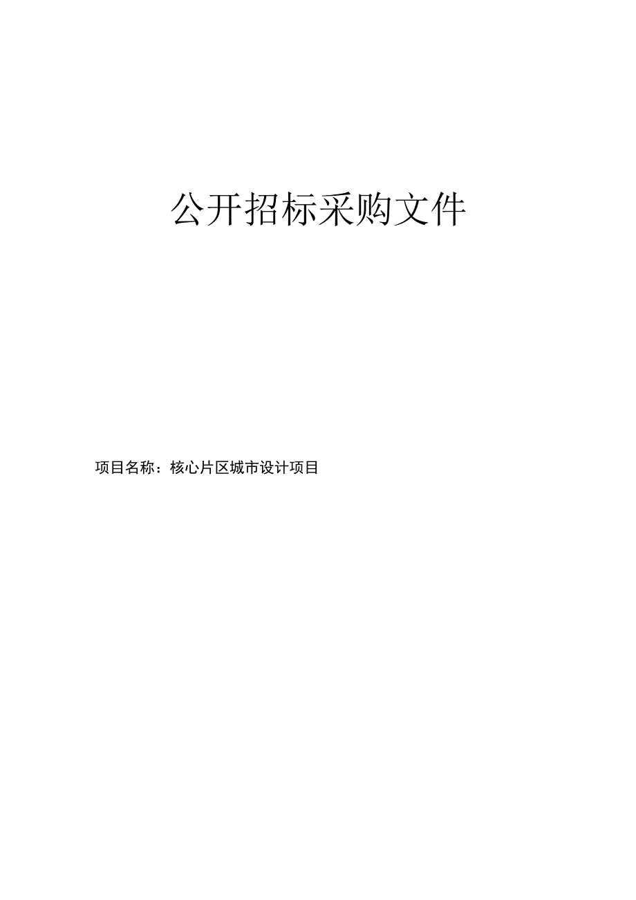 核心片区城市设计项目招标文件.docx_第1页