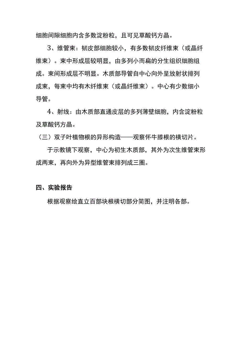 河医大药用植物学实验指导03根的内部构造.docx_第3页