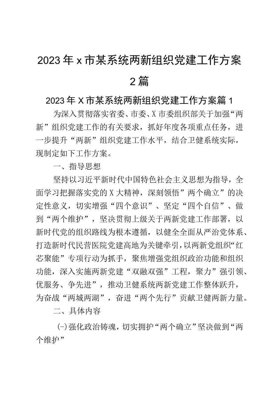 2023年x市某系统两新组织党建工作方案2篇.docx_第1页