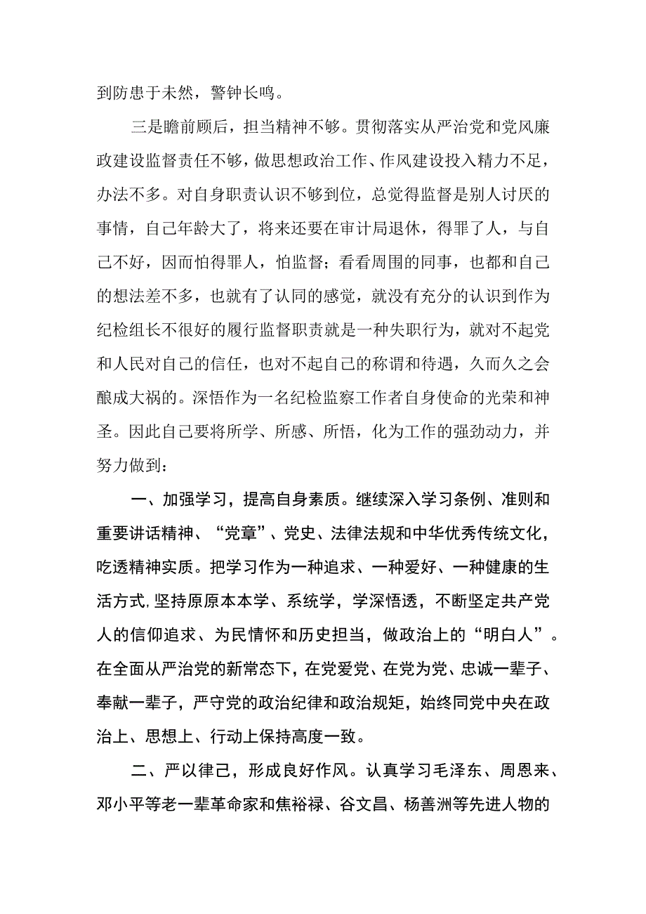 2023年全国纪检监察干部队伍教育整顿的心得体会发言材料两篇样本.docx_第3页