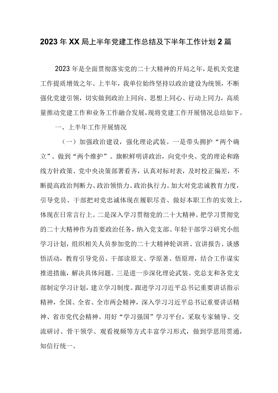 2023年XX局上半年党建工作总结及下半年工作计划2篇.docx_第1页