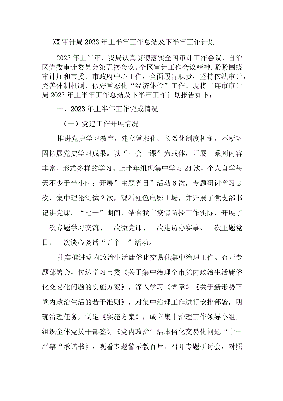 审计局2023年上半年工作总结及下半年工作计划.docx_第1页