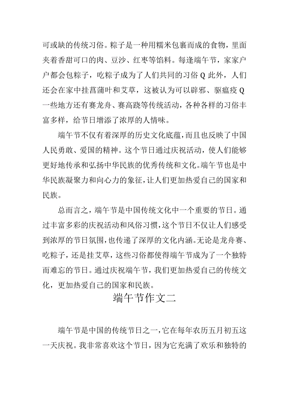 学生端午节日记作文5篇汇编.docx_第3页