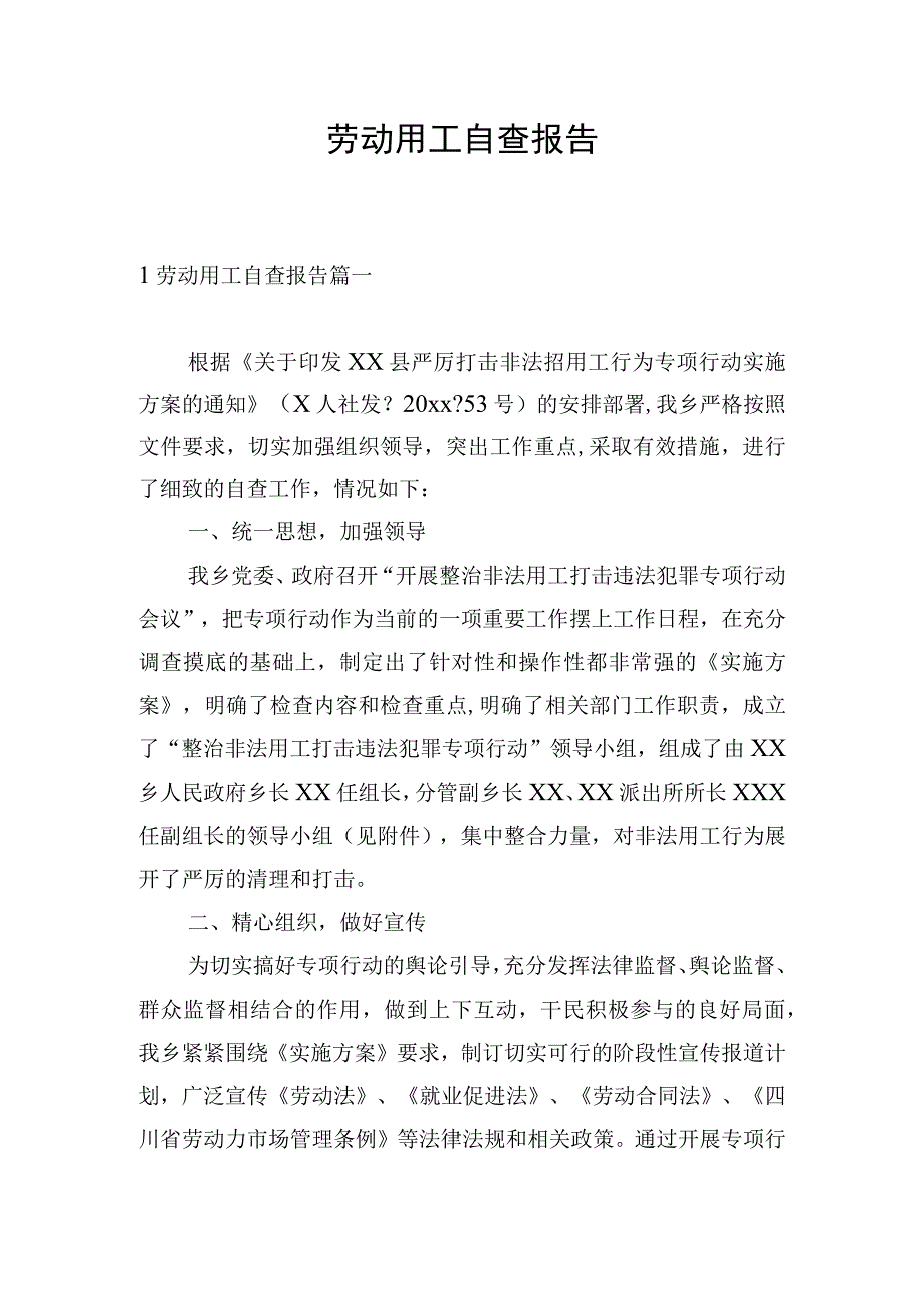 劳动用工自查报告.docx_第1页