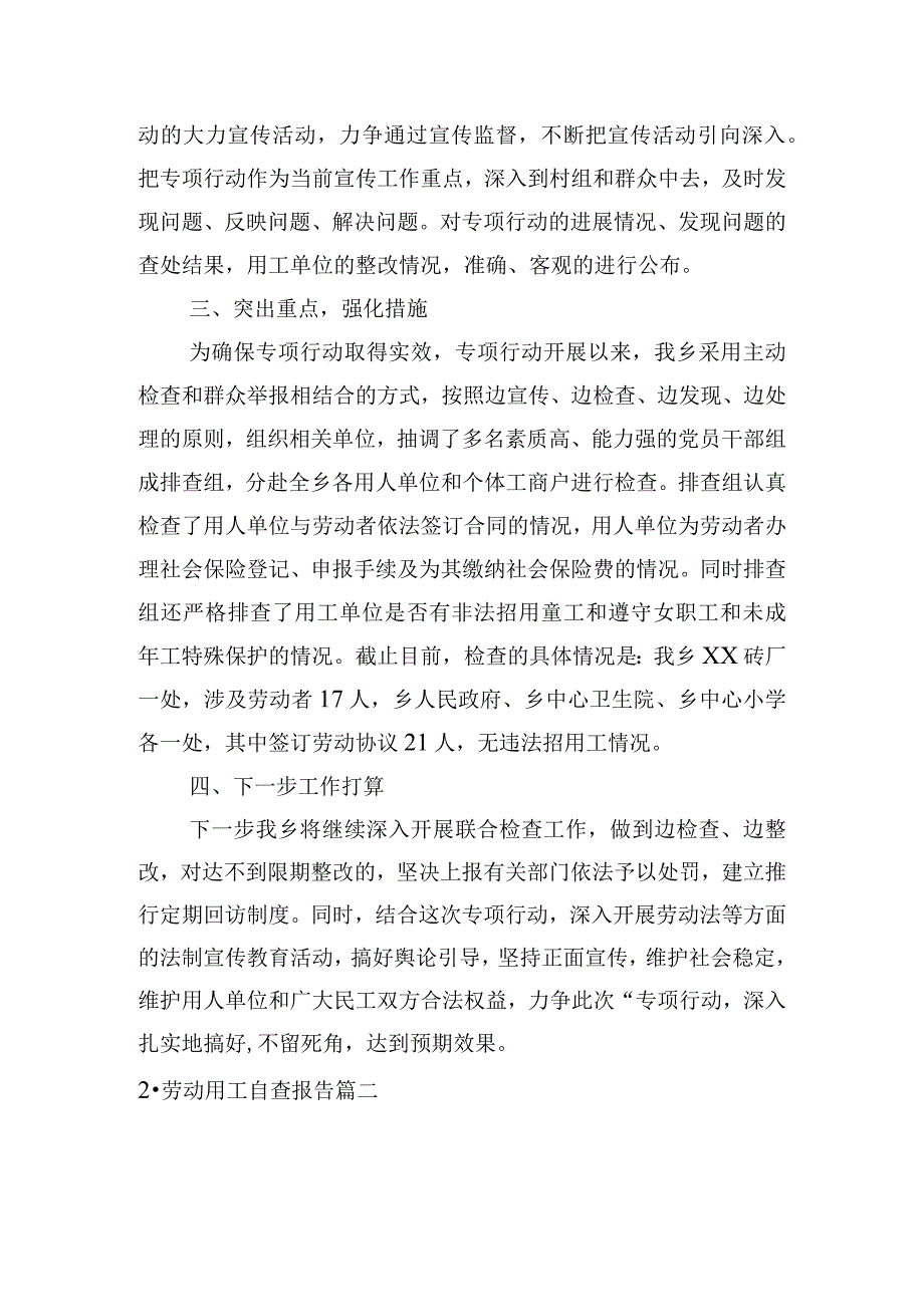 劳动用工自查报告.docx_第2页