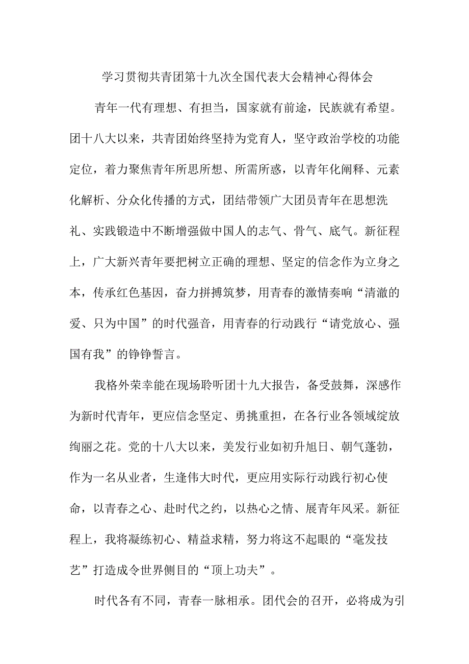 中学教师学习贯彻共青团第十九次全国代表大会精神个人心得体会 5份.docx_第1页