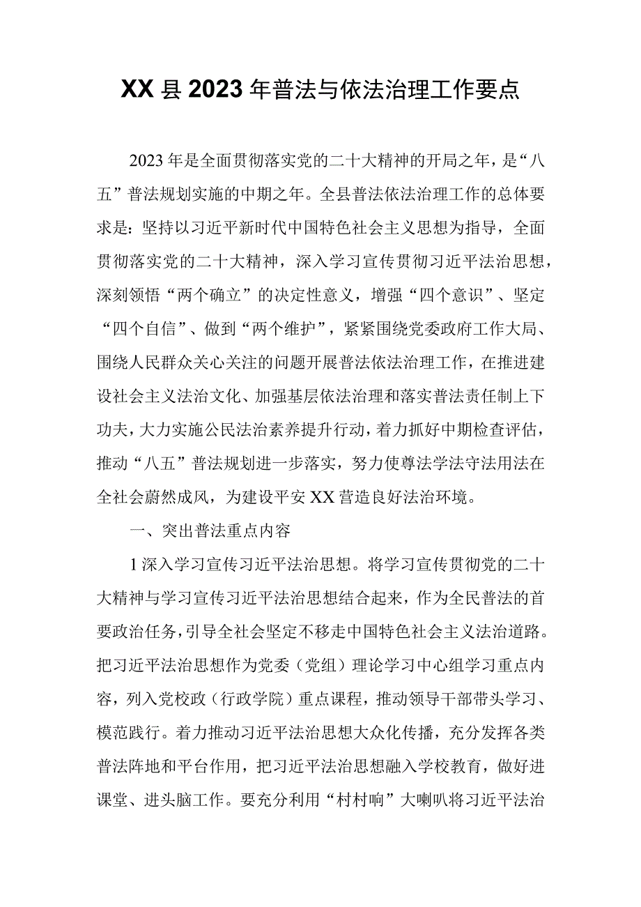 XX县2023年普法与依法治理工作要点.docx_第1页