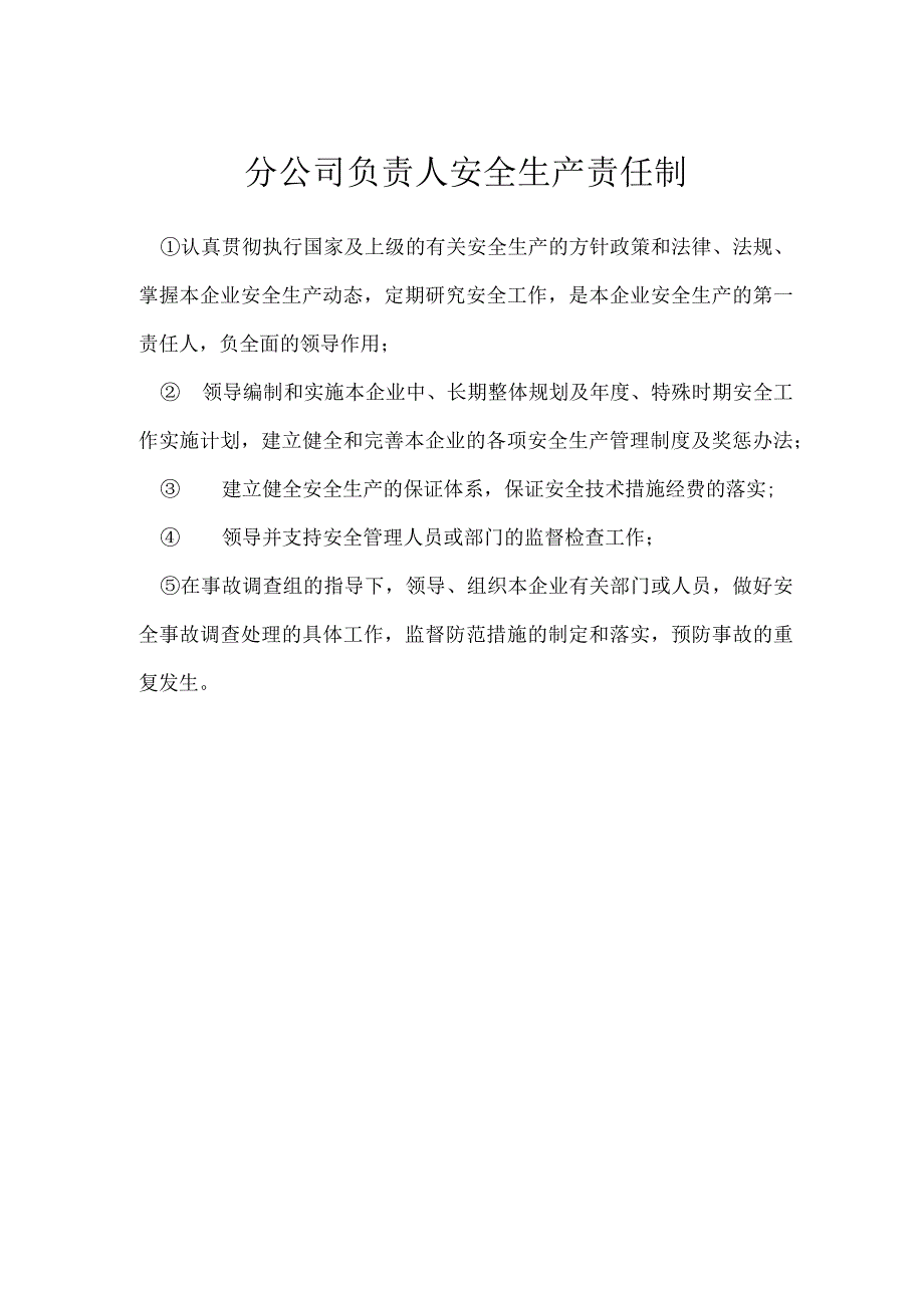 分公司负责人安全生产责任制模板范本.docx_第1页