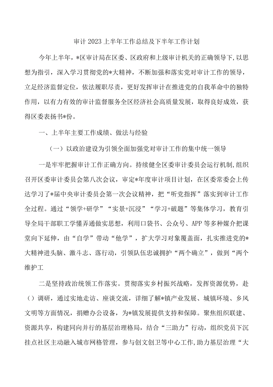 审计2023上半年工作总结及下半年工作计划.docx_第1页