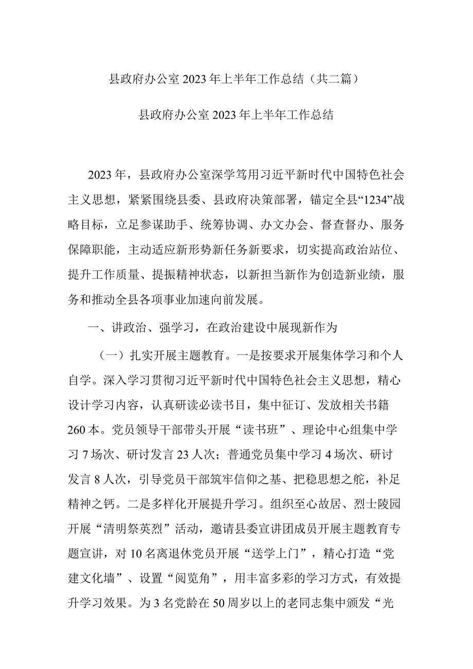 县政府办公室2023年上半年工作总结共二篇.docx_第1页