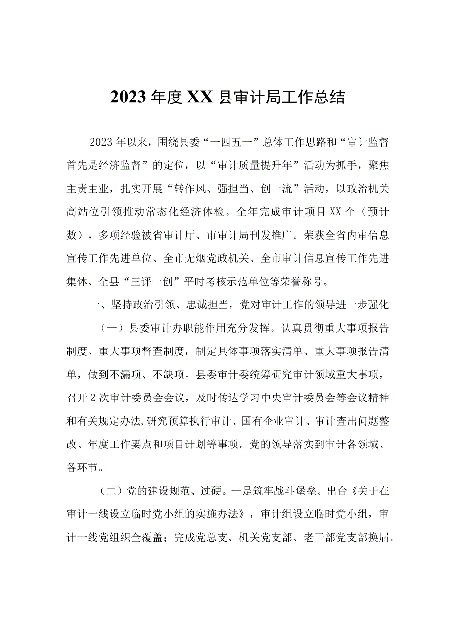 2023年度XX县审计局工作总结.docx_第1页