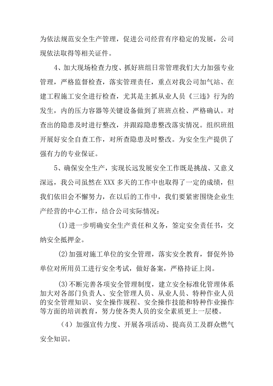 关于城镇燃气安全专项整治工作督查报告7篇.docx_第3页