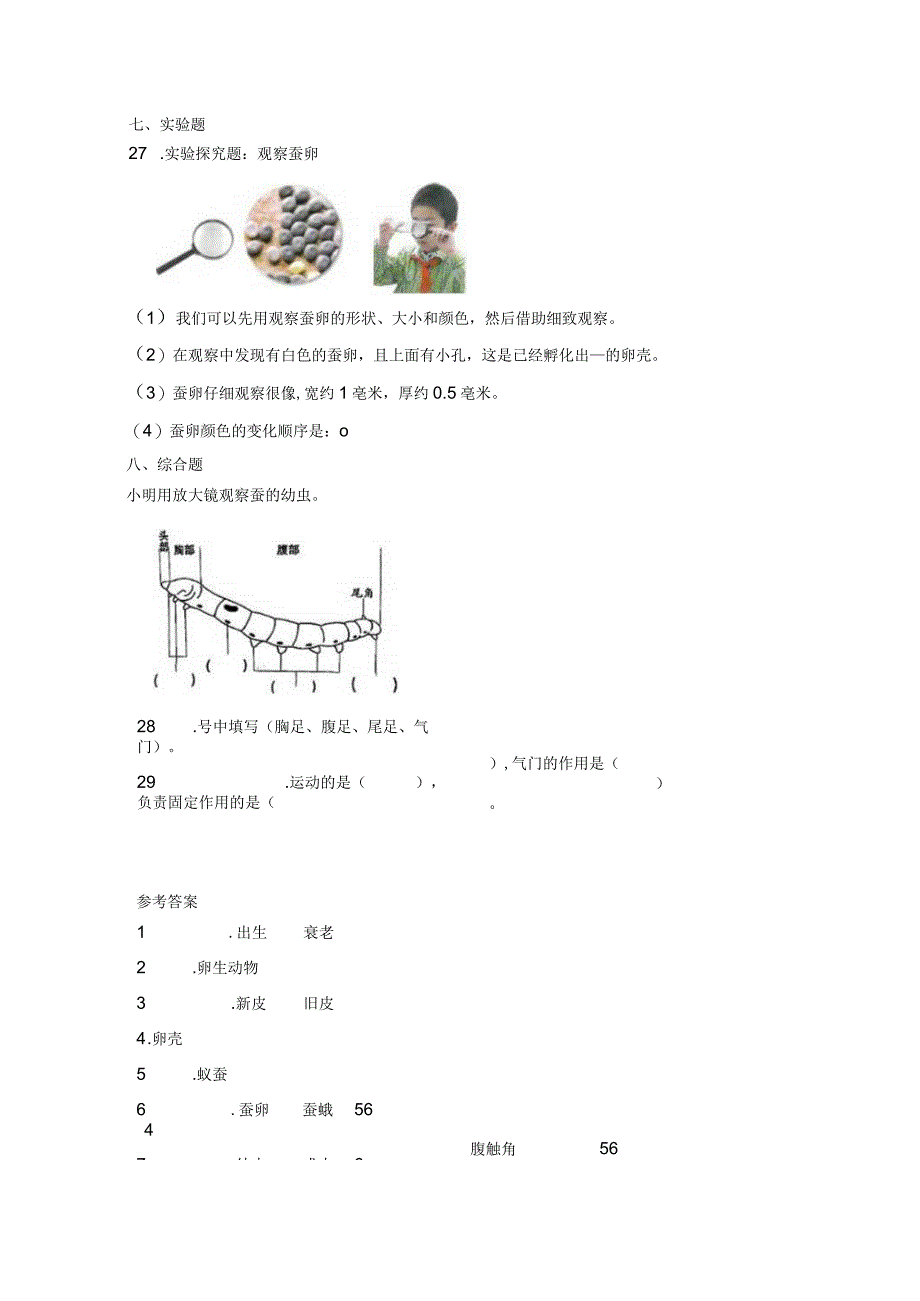 第二单元动物的一生期末复习卷三含答案三年级科学下册教科版.docx_第3页