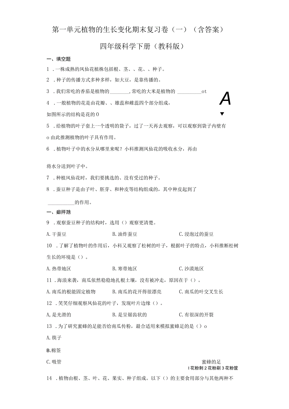 第一单元植物的生长变化期末复习卷一含答案四年级科学下册教科版.docx_第1页