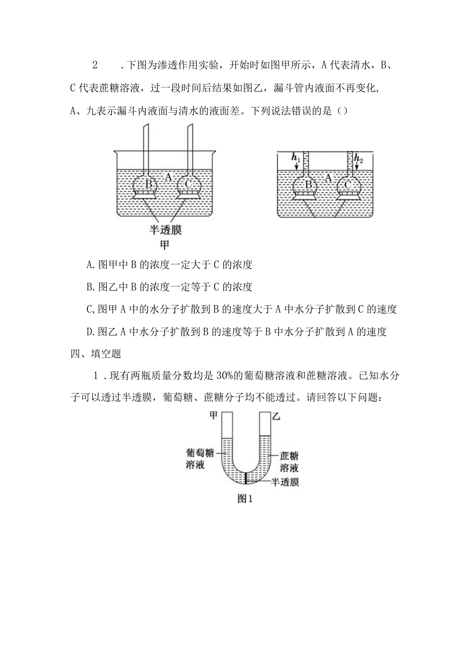 第四章第一节被动运输——渗透作用.docx_第3页