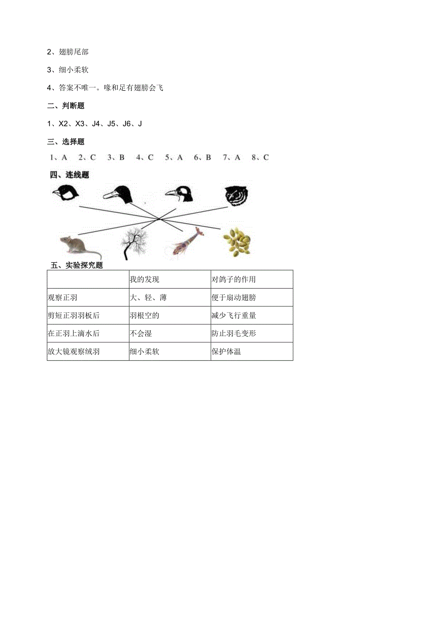 苏教版小学科学四上13《鸟类》练习.docx_第3页