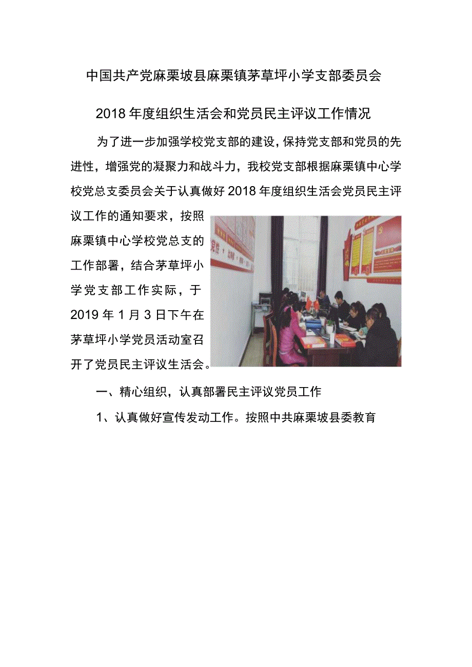 茅草坪小学党支部2018年度党员民主评议工作情况.docx_第1页