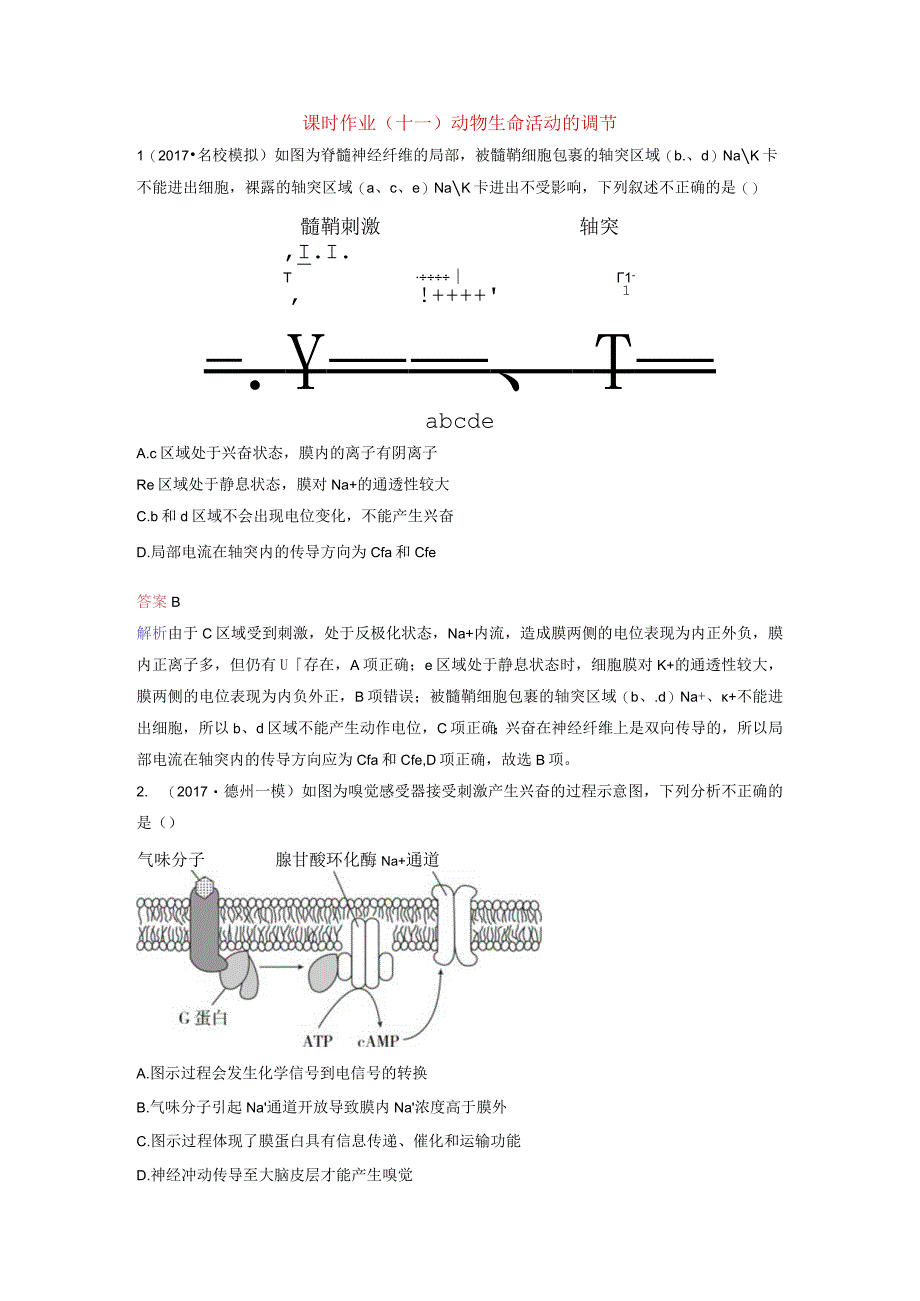 课时作业十一 动物生命活动的调节 专题练习.docx_第1页