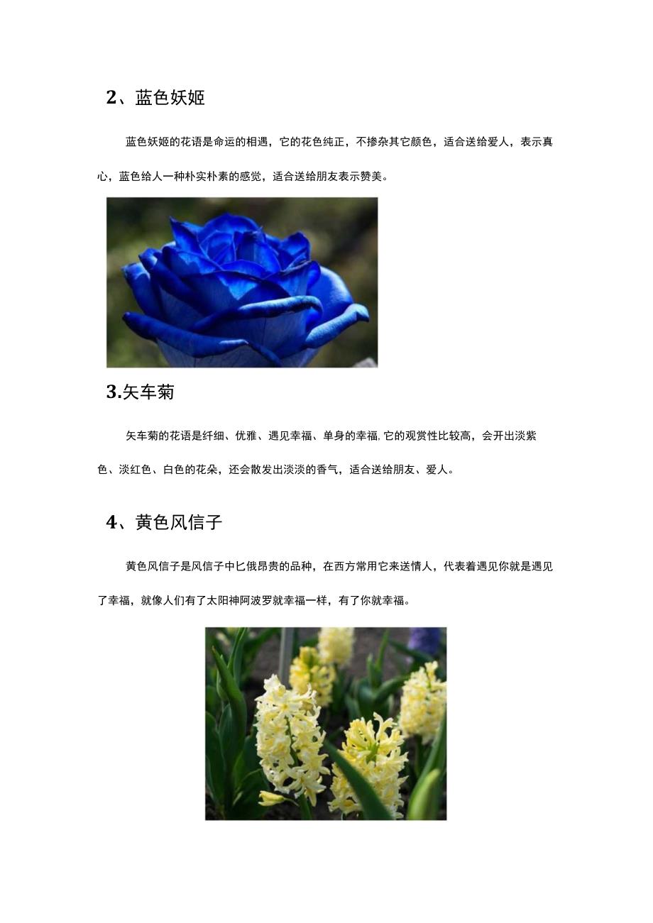 花语是很高兴遇见你的花.docx_第2页