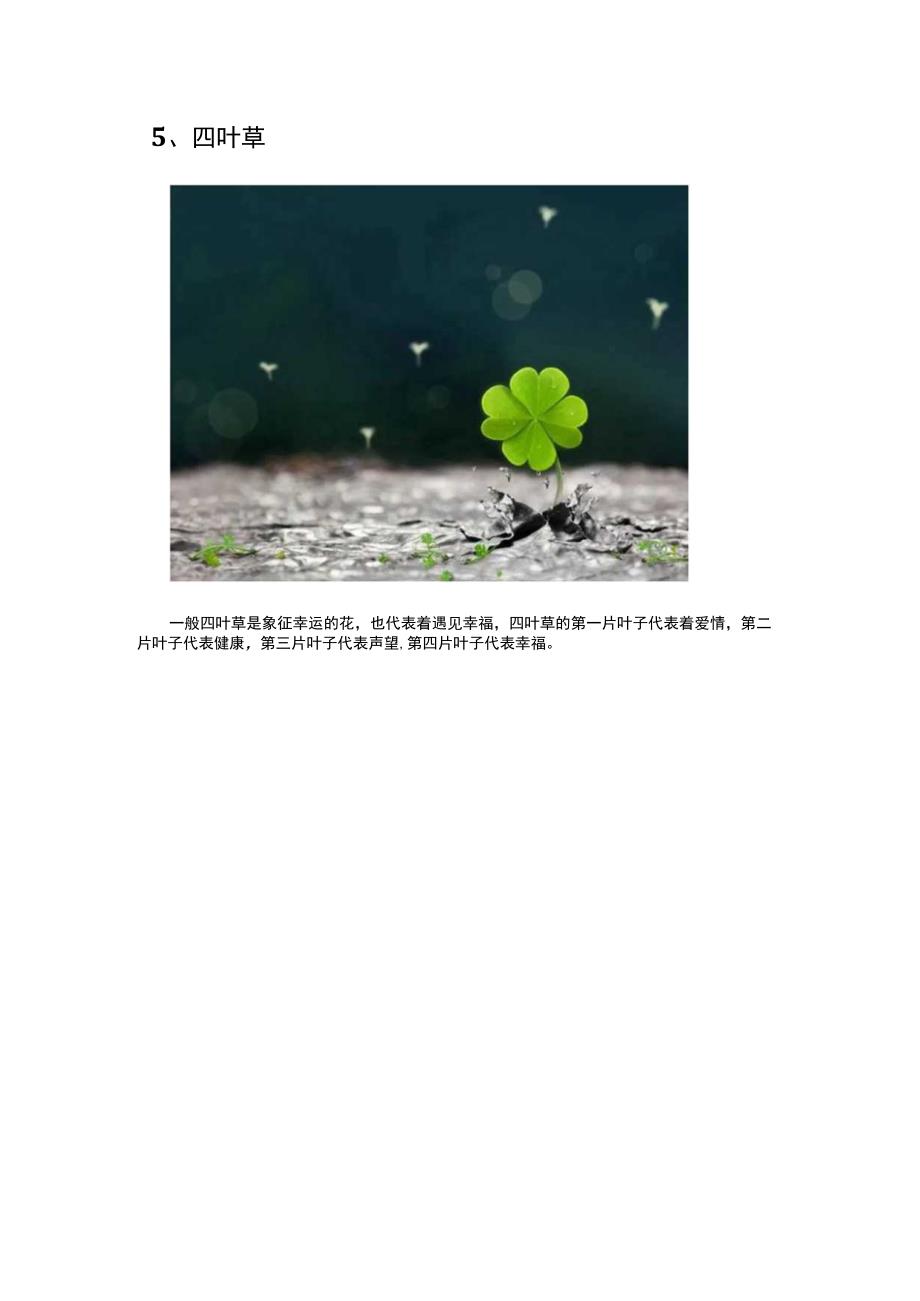 花语是很高兴遇见你的花.docx_第3页