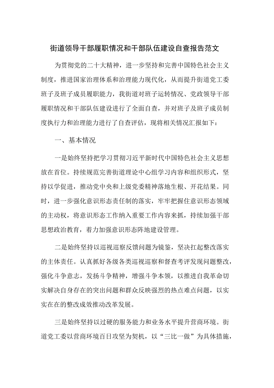 街道领导干部履职情况和干部队伍建设自查报告范文.docx_第1页