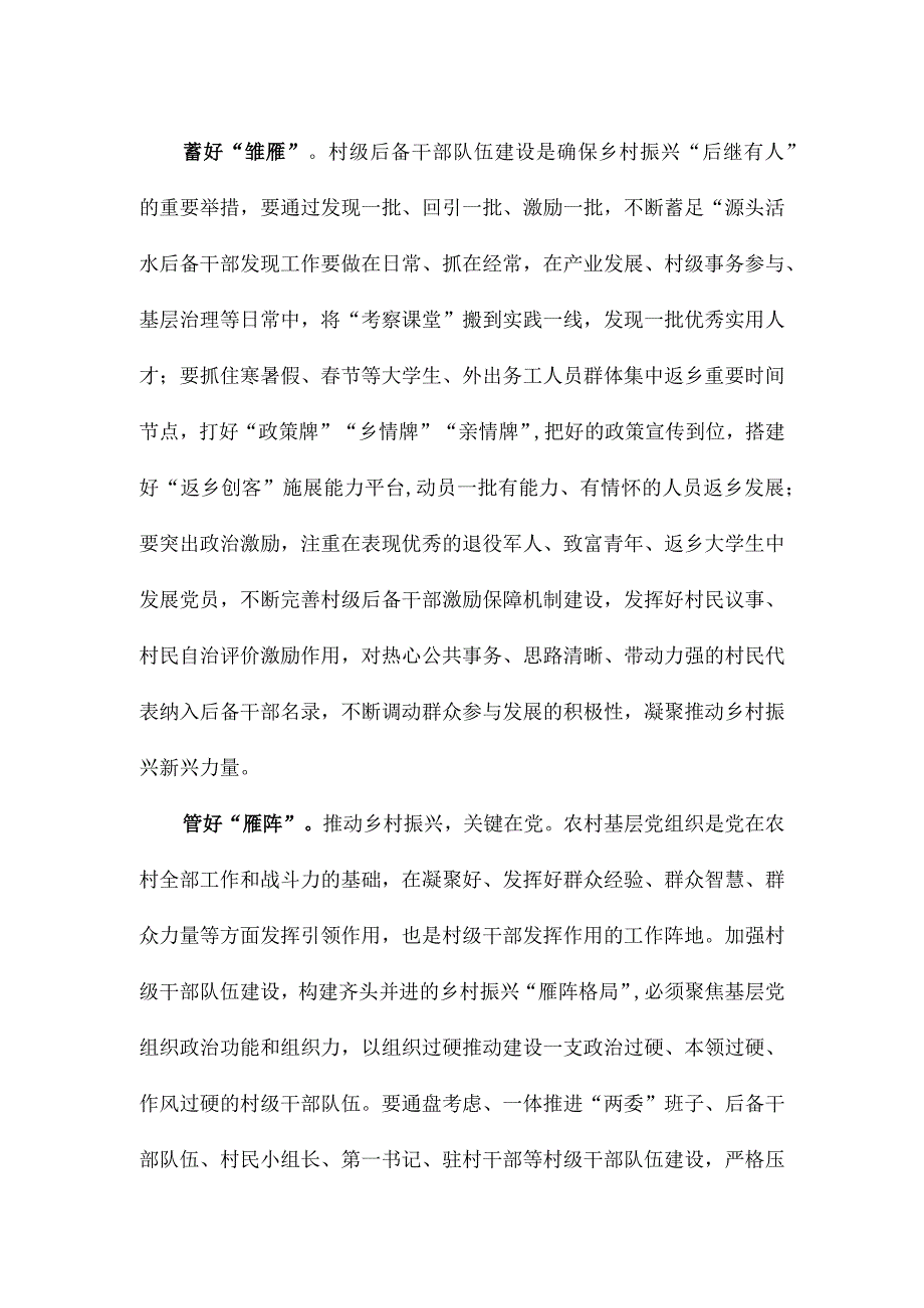 选好实施乡村振兴战略领头雁心得体会.docx_第2页