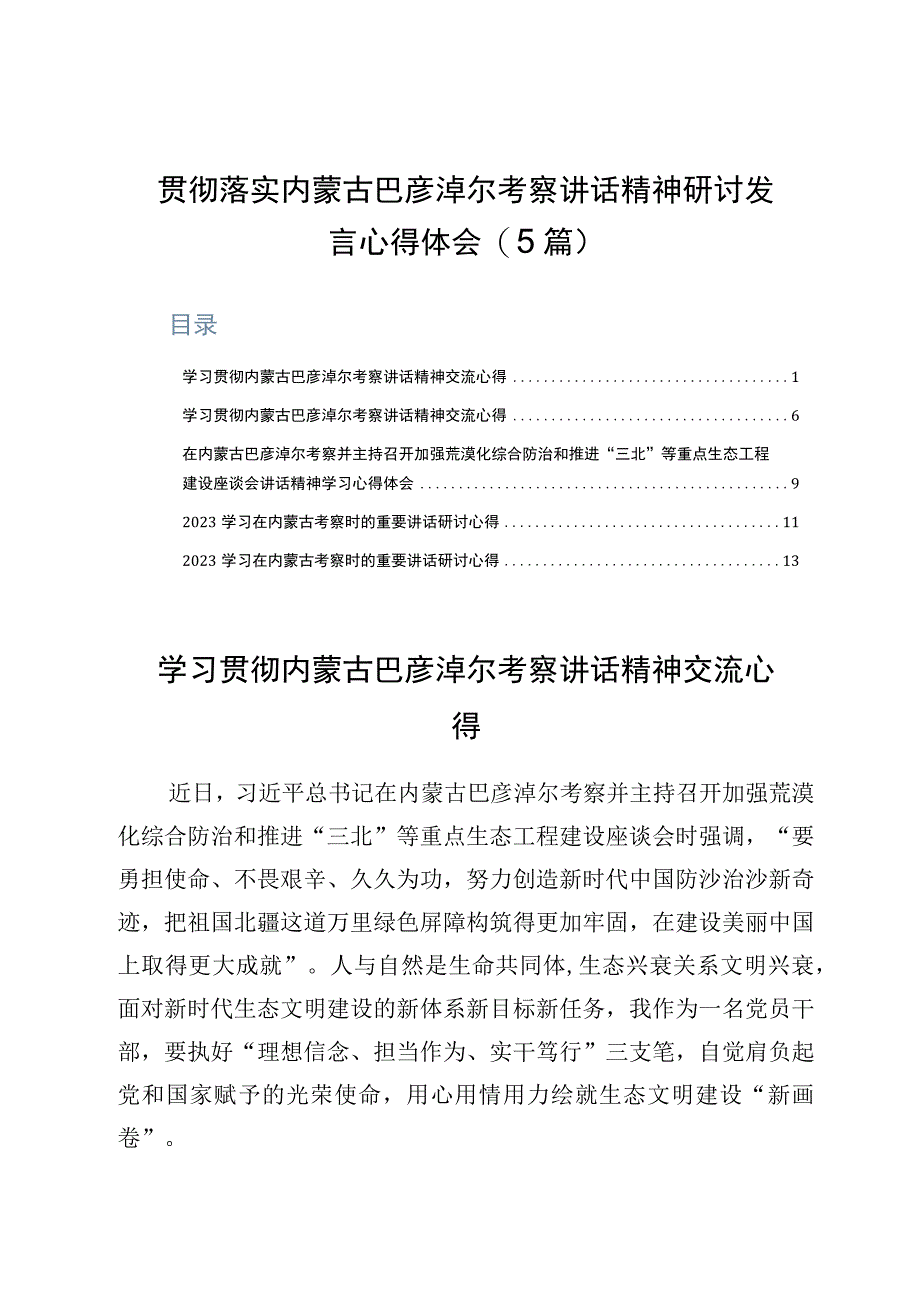 贯彻落实内蒙古巴彦淖尔考察讲话精神研讨发言心得体会5篇.docx_第1页