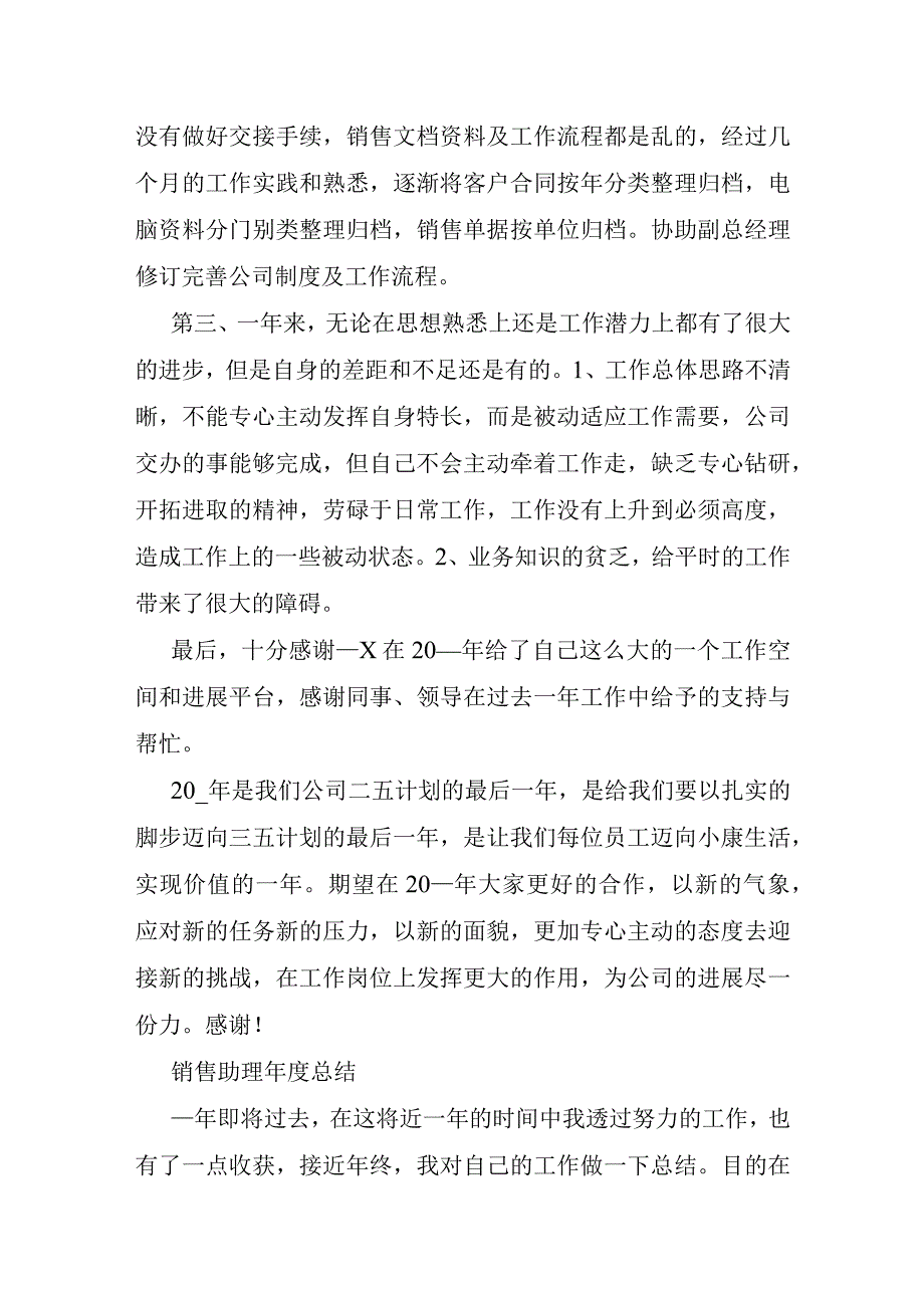 销售助理年度总结.docx_第3页