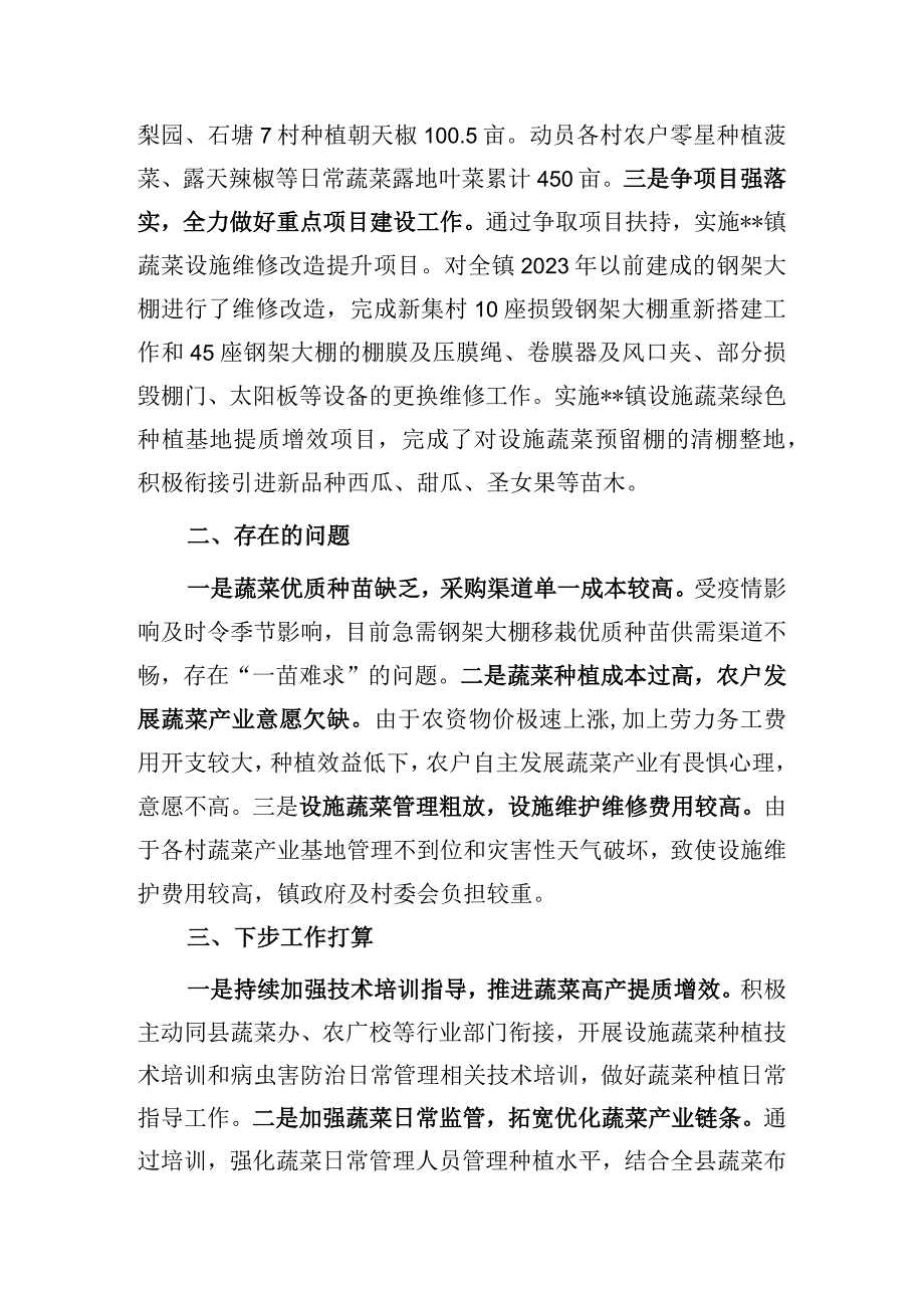 镇蔬菜产业发展半年工作总结.docx_第2页